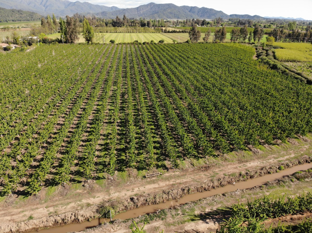 Plataforma y monitoreo CDTEC